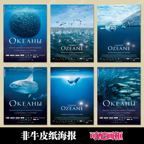 图尔大学经济学文凭证书